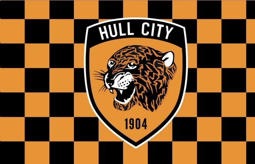 Hull city supporters - city,