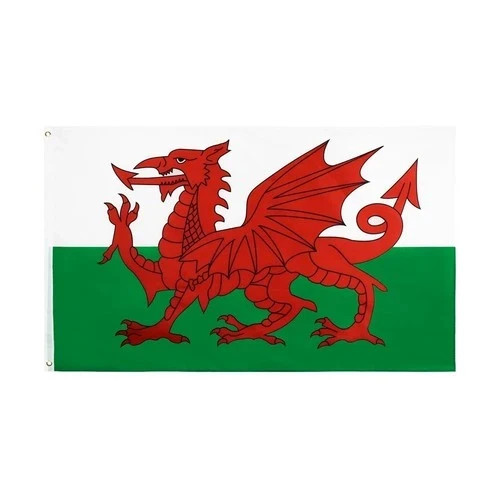 Giant welsh flag 3x5ft wales - giant,