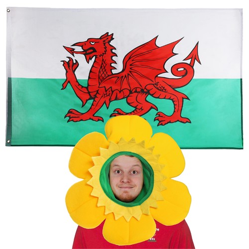 Welsh flag daffodil - &,
