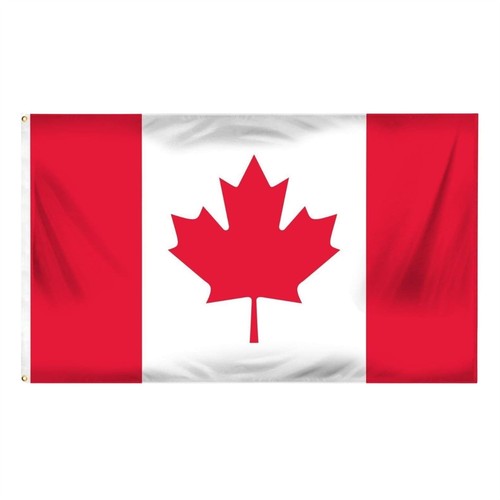 Large canada flag canadian - large,