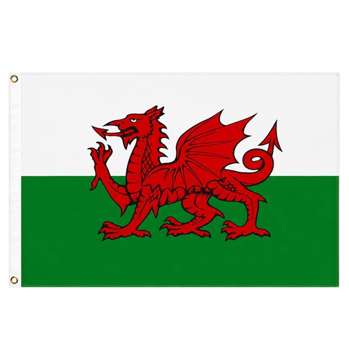 Giant welsh flag 2x3ft wales - giant,